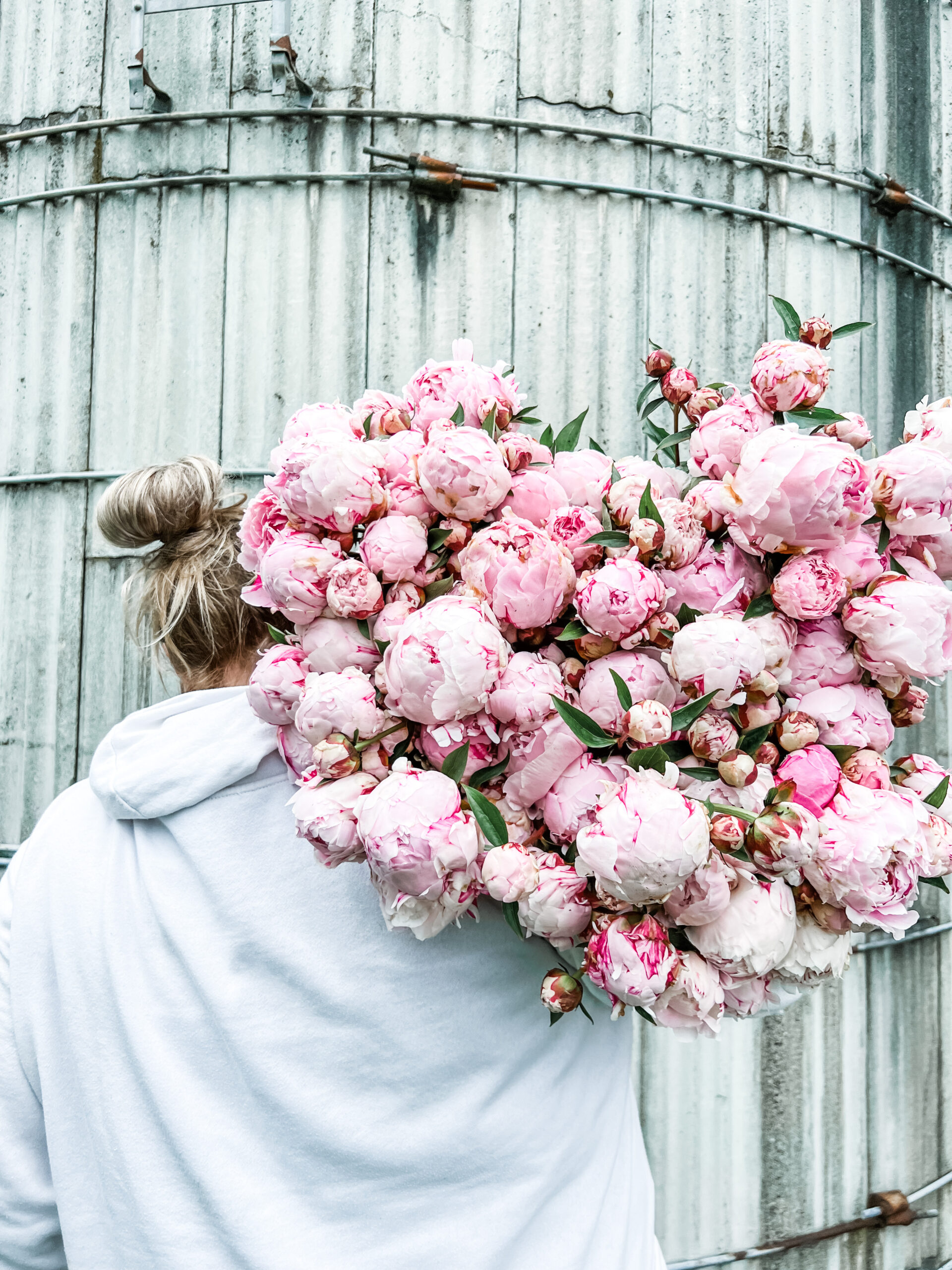 Bulk Peony Order