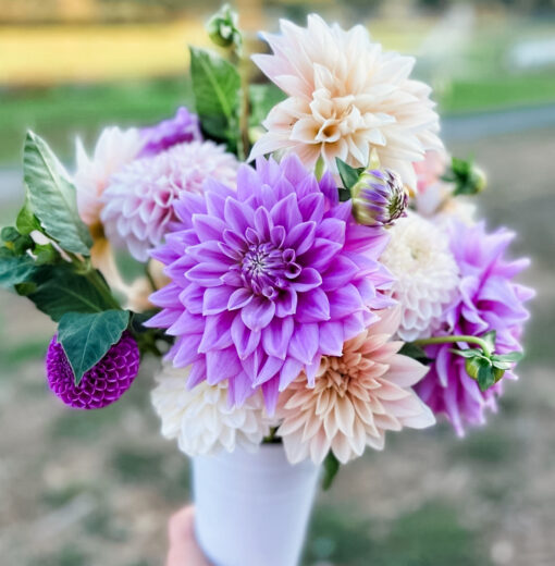 Lilac Time Dahlia Bouquet