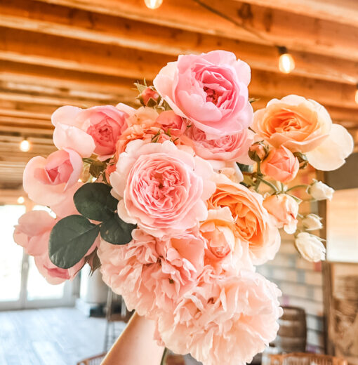 Blush Roses