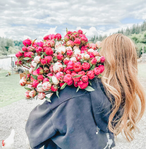 Peony Varieties