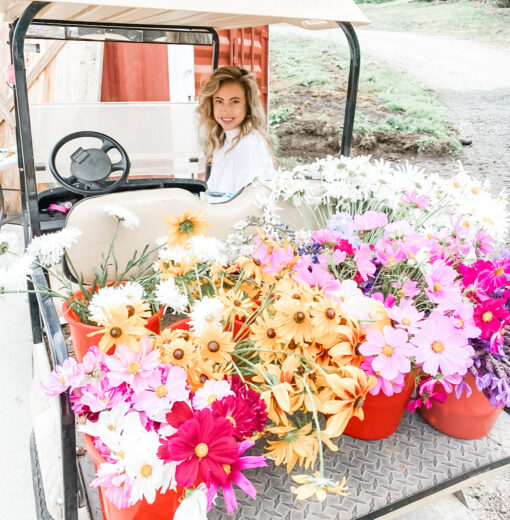 Bulk Bucket Orders in Spring