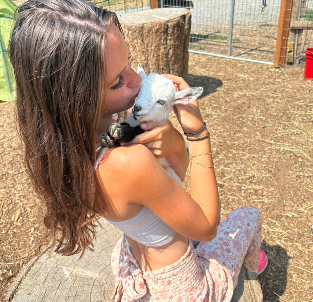 Baby Goat Cuddle Sessions