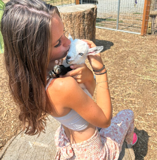 Baby Goat Cuddle Sessions