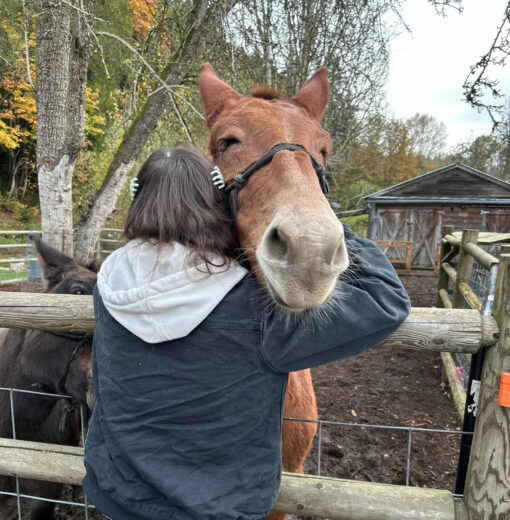 Rescue Mule Love