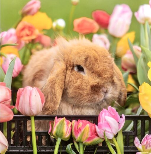 Photo by Amber Braxton