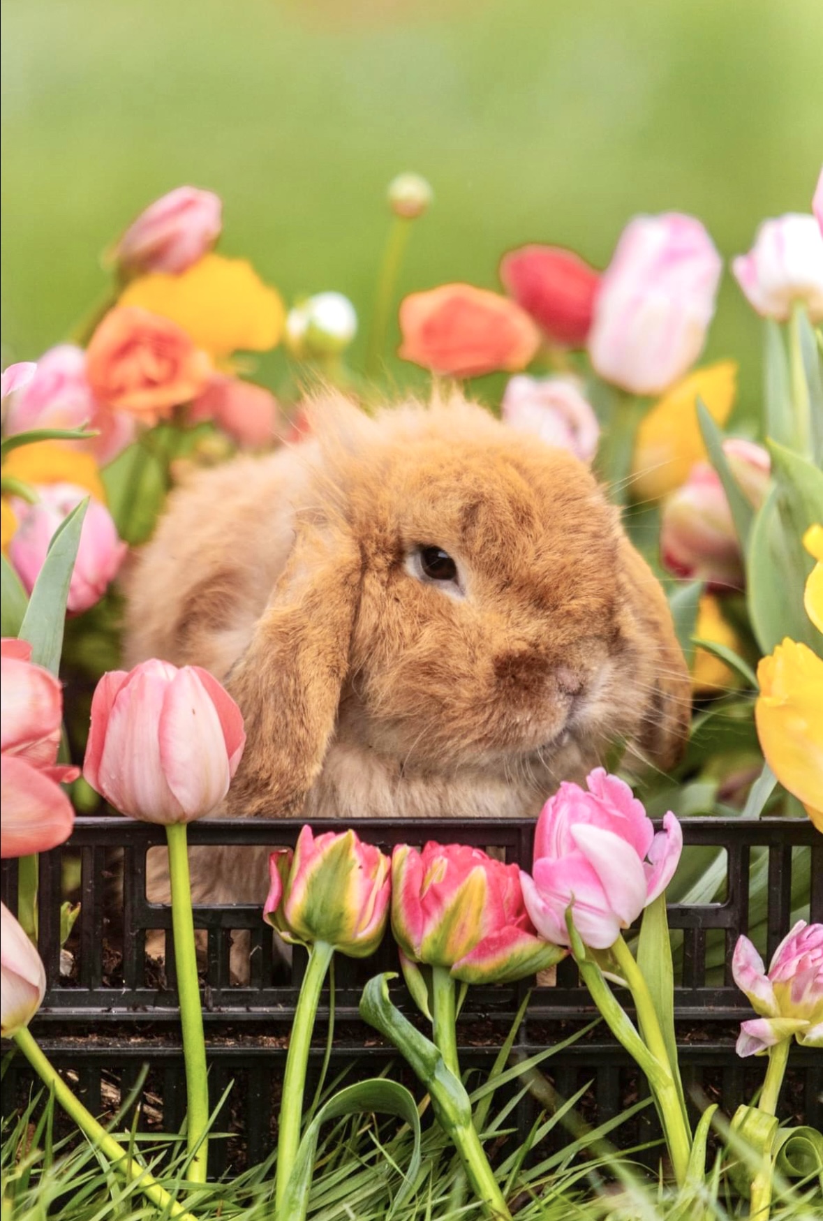 Photo by Amber Braxton