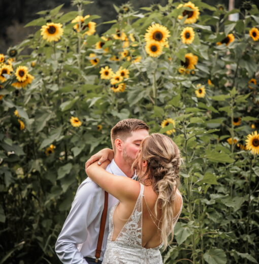 Sunflower Kisses