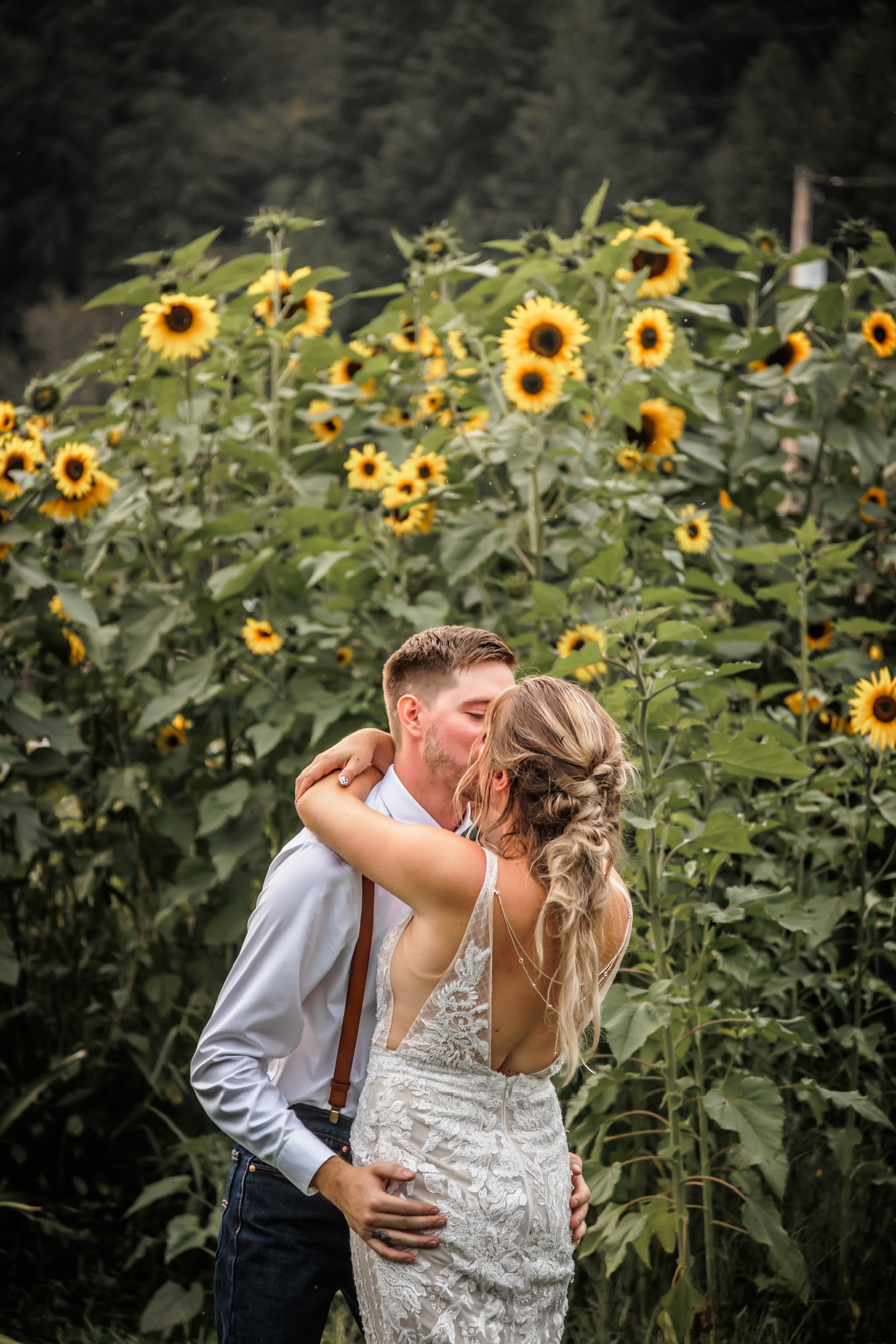 Sunflower Kisses