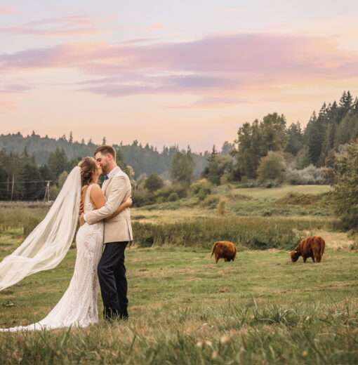 Couples & Cows