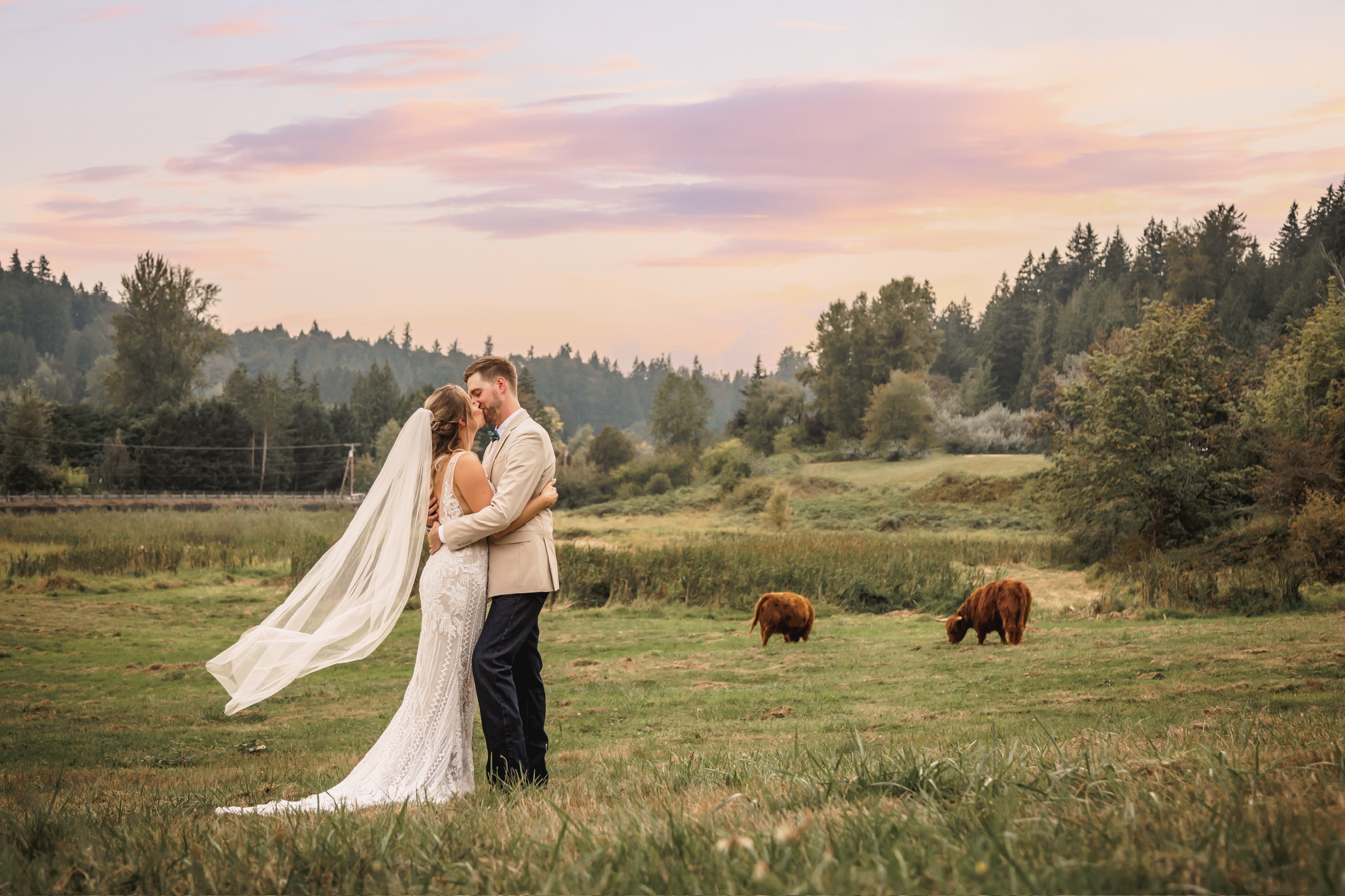 Couples & Cows