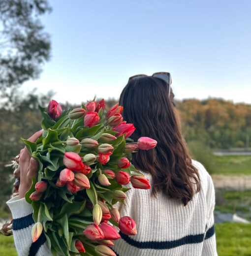 First Tulips of The Season