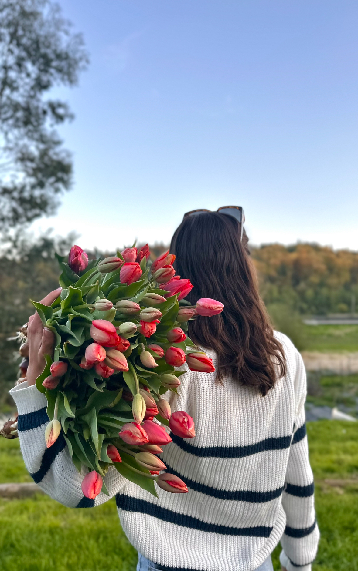 First Tulips of The Season