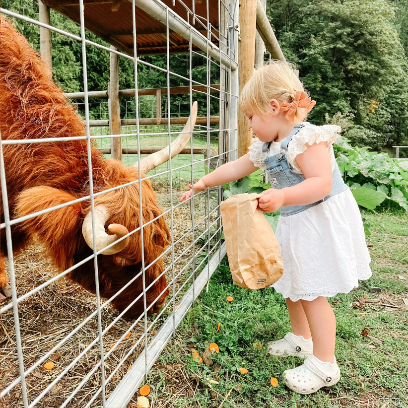 Kids Fall Fest Birthday Parties